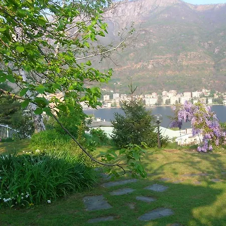 Vaemenia Omegna