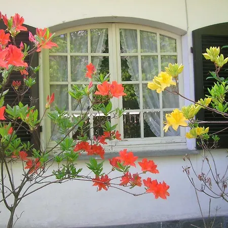 Vaemenia Bed and Breakfast